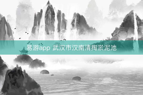 易游app 武汉市汉南清掏淤泥池