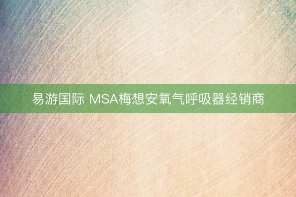 易游国际 MSA梅想安氧气呼吸器经销商