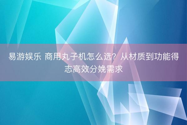易游娱乐 商用丸子机怎么选？从材质到功能得志高效分娩需求