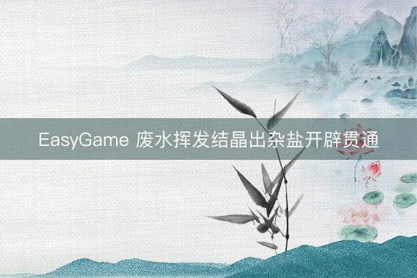 EasyGame 废水挥发结晶出杂盐开辟贯通