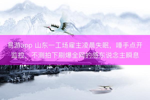 易游app 山东一工场雇主凌晨失眠，唾手点开监控，不测拍下刷爆全网的感东说念主瞬息