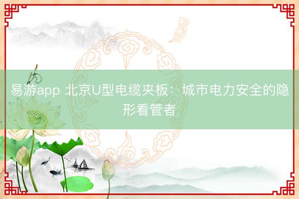 易游app 北京U型电缆夹板：城市电力安全的隐形看管者