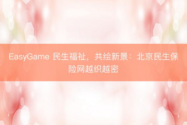 EasyGame 民生福祉，共绘新景：北京民生保险网越织越密