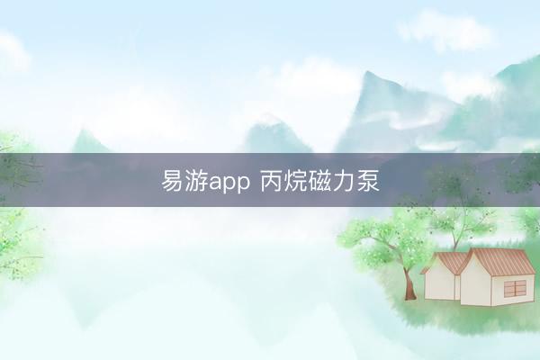易游app 丙烷磁力泵
