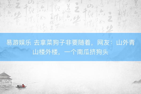 易游娱乐 去拿菜狗子非要随着,网友:山外青山楼外楼,一个南瓜挤狗头