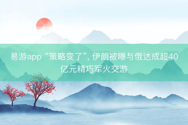 易游app “策略变了”, 伊朗被曝与俄达成超40亿元精巧军火交游
