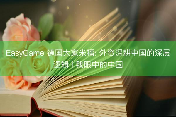 EasyGame 德国大家米福: 外资深耕中国的深层逻辑 | 我眼中的中国