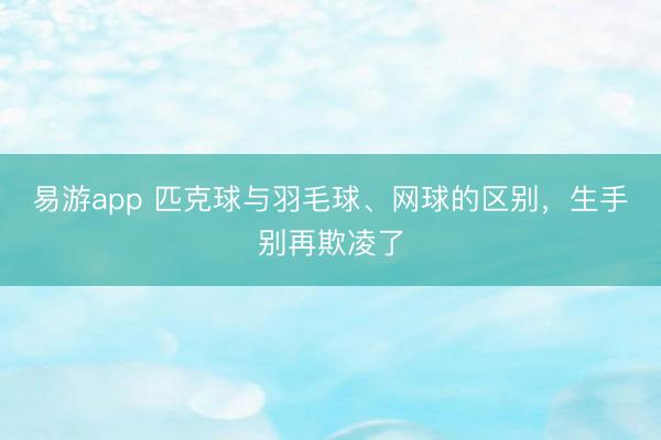 易游app 匹克球与羽毛球、网球的区别，生手别再欺凌了