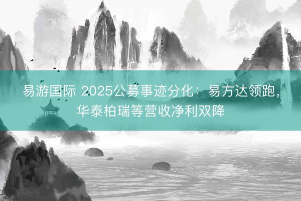 易游国际 2025公募事迹分化:易方达领跑,华泰柏瑞等营收净利双降