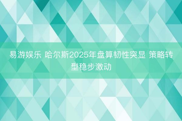 易游娱乐 哈尔斯2025年盘算韧性突显 策略转型稳步激动