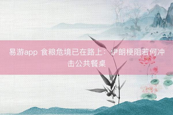 易游app 食粮危境已在路上：伊朗梗阻若何冲击公共餐桌