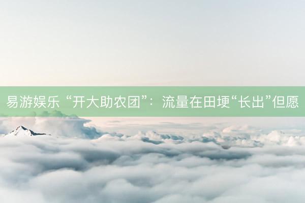 易游娱乐 “开大助农团”：流量在田埂“长出”但愿