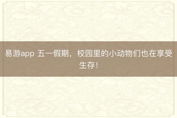 易游app 五一假期，校园里的小动物们也在享受生存！