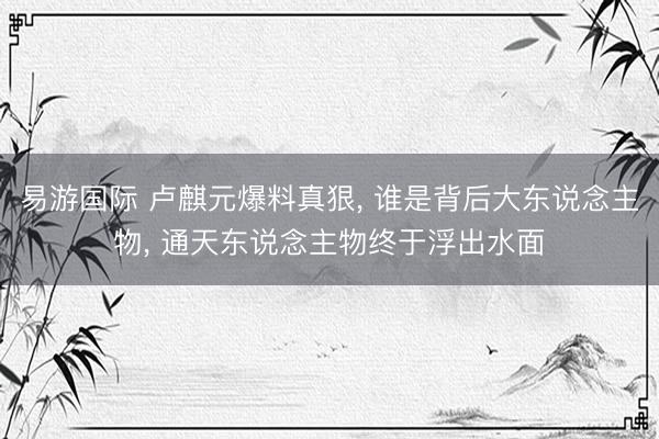 易游国际 卢麒元爆料真狠， 谁是背后大东说念主物， 通天东说念主物终于浮出水面