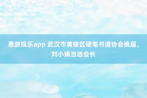 易游娱乐app 武汉市黄陂区硬笔书道协会换届，刘小娟当选会长