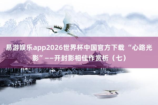 易游娱乐app2026世界杯中国官方下载 “心路光影”——开封影相佳作赏析（七）