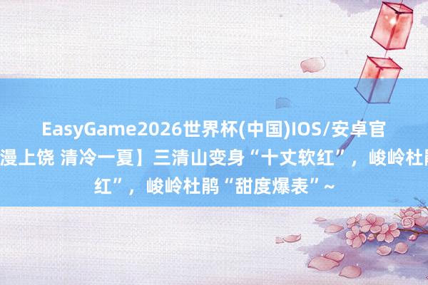 EasyGame2026世界杯(中国)IOS/安卓官方下载 【“浪”漫上饶 清冷一夏】三清山变身“十丈软红”，峻岭杜鹃“甜度爆表”~