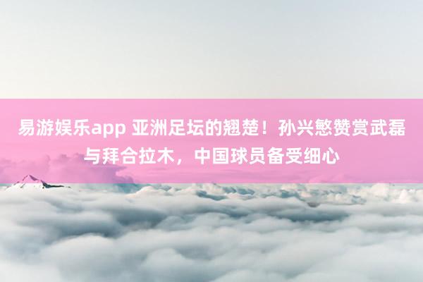 易游娱乐app 亚洲足坛的翘楚！孙兴慜赞赏武磊与拜合拉木，中国球员备受细心