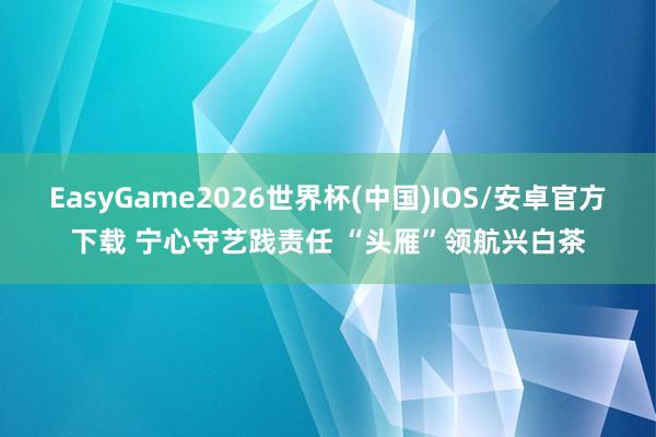 EasyGame2026世界杯(中国)IOS/安卓官方下载 宁心守艺践责任 “头雁”领航兴白茶