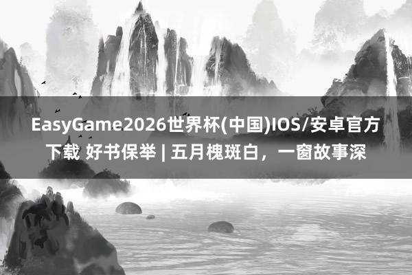 EasyGame2026世界杯(中国)IOS/安卓官方下载 好书保举 | 五月槐斑白，一窗故事深