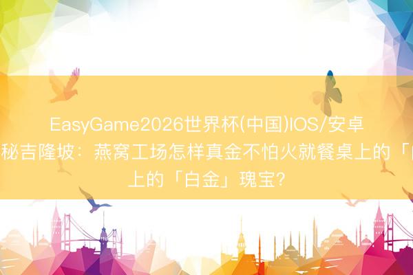 EasyGame2026世界杯(中国)IOS/安卓官方下载 探秘吉隆坡：燕窝工场怎样真金不怕火就餐桌上的「白金」瑰宝？