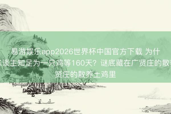 易游娱乐app2026世界杯中国官方下载 为什么上海东谈主知足为一只鸡等160天？谜底藏在广贤庄的散养土鸡里
