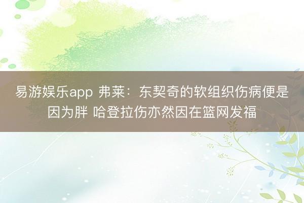 易游娱乐app 弗莱：东契奇的软组织伤病便是因为胖 哈登拉伤亦然因在篮网发福