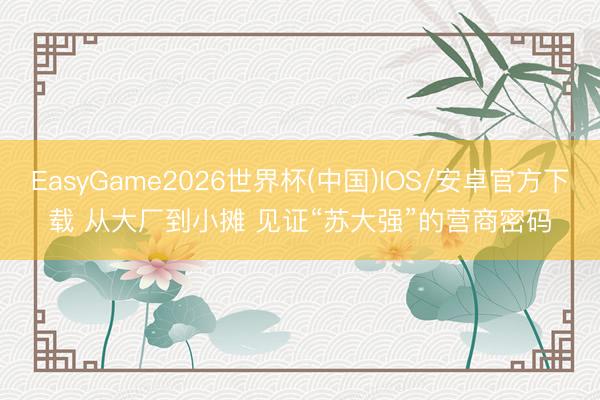 EasyGame2026世界杯(中国)IOS/安卓官方下载 从大厂到小摊 见证“苏大强”的营商密码