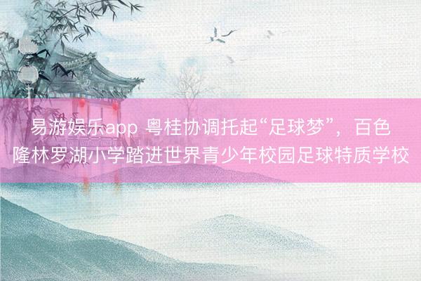易游娱乐app 粤桂协调托起“足球梦”,百色隆林罗湖小学踏进世界青少年校园足球特质学校