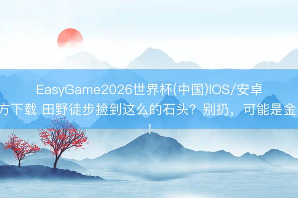 EasyGame2026世界杯(中国)IOS/安卓官方下载 田野徒步捡到这么的石头？别扔，可能是金子！