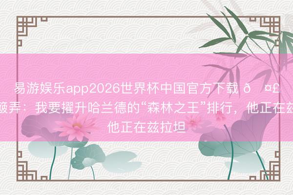 易游娱乐app2026世界杯中国官方下载 🤣伊布簸弄：我要擢升哈兰德的“森林之王”排行，他正在兹拉坦