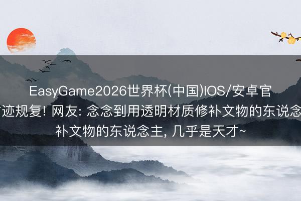 EasyGame2026世界杯(中国)IOS/安卓官方下载 留白式古迹规复! 网友: 念念到用透明材质修补文物的东说念主，<a href=