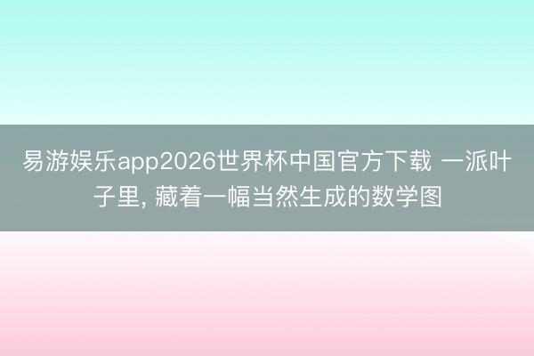 易游娱乐app2026世界杯中国官方下载 一派叶子里， 藏着一幅当然生成的数学图