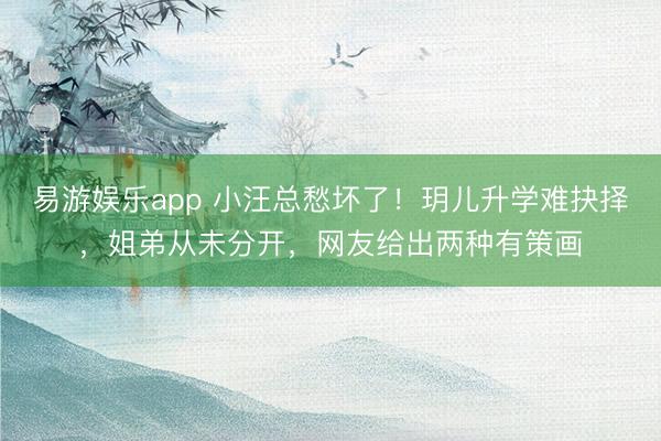 易游娱乐app 小汪总愁坏了!玥儿升学难抉择,姐弟从未分开,网友给出两种有策画